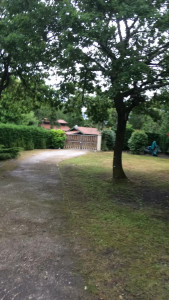 Photo de galerie - Offrez à votre terrain de 500 m2 un entretien complet et soigné !
	•Tonte du gazon pour un résultat net
	•Désherbage pour des allées et massifs impeccables
	•Nettoyage de l’allée pour un extérieur accueillant