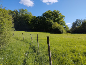 Photo de galerie - Entretien terrain
