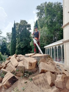 Photo de galerie - Abattage avec ma MS 881 Sthil. 