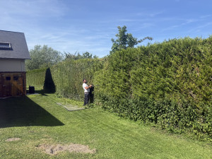 Photo de galerie -  superbe haie de 300 mettre linéaire réaliser. 