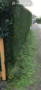 Photo de galerie - Propose des services d'entretien de jardin et de petits bricolage