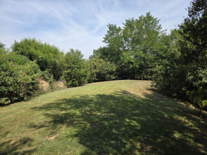 Photo de galerie - Tonte de pelouse et débroussillage.