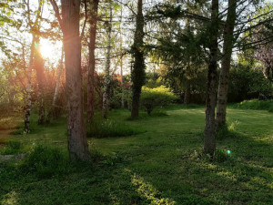 Photo de galerie - Jardinier