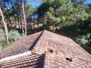 Photo de galerie - Nettoyage d'une toiture de 220m2
 ainsi que les gouttières.  pulvérisation d'un anti-mousse et d'une solution hydrofuge.