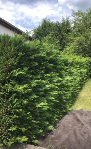 Photo de galerie - Avant