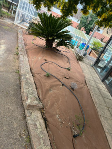 Photo de galerie - Paysagiste - Aménagement du jardin