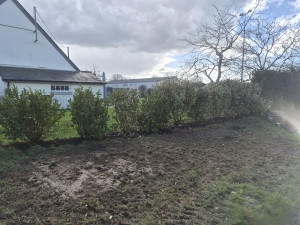 Photo de galerie - Paysagiste - Aménagement du jardin