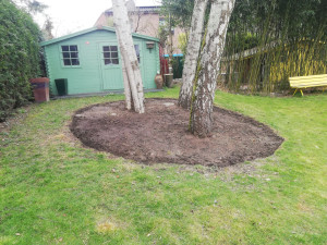 Photo de galerie - Paysagiste - Aménagement du jardin