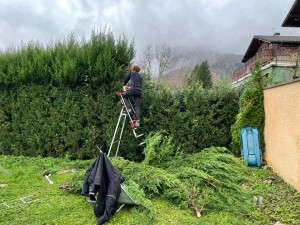 Photo de galerie - Rabattage de haie 