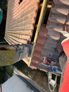 Photo de galerie - Couverture - Toiture