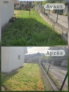 Photo de galerie - Léger debrouissalage, tonte, bordures et évacuation des déchets verts.
