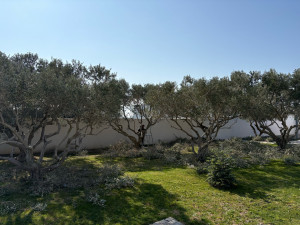 Photo de galerie - Aujourd’hui, taille de huit Olivie