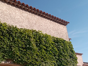 Photo de galerie - Réalisations