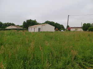 Photo de galerie - Tonte de pelouse - Débroussaillage