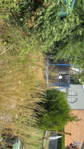 Photo de galerie - Paysagiste - Aménagement du jardin