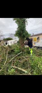 Photo de galerie - Abattage Saint-Ciers-sur-Gironde ?