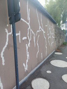 Photo de galerie - Réparation  mur