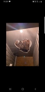 Photo de galerie - Plafond avant travaux 