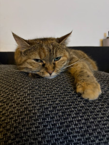 Photo de galerie - ?‍⬛