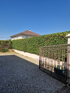 Photo de galerie - Taille terminé