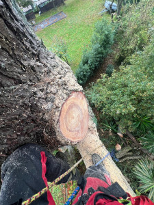 Photo de galerie - Pour un bourlet de renforcement optimisé 