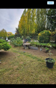 Photo de galerie - Tonte de pelouse - Débroussaillage