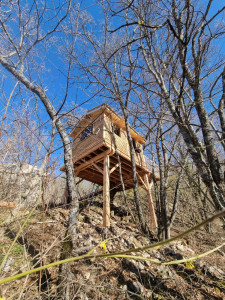 Photo de galerie - Charpente