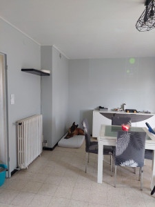 Photo de galerie - Suite...