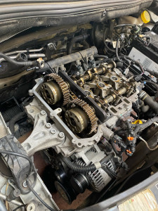 Photo de galerie - Distribution THP 