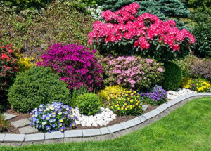 Photo de galerie - Parterre de fleurs 