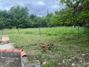 Photo de galerie - Débroussaillage + coupe d un gros buisson