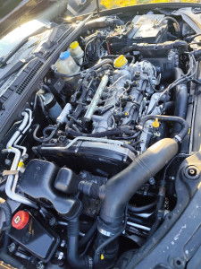 Photo de galerie - Moteur, culasse 