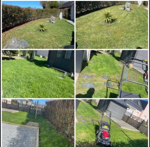 Photo de galerie - Tonte de pelouse