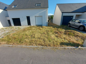 Photo de galerie - Tonte de pelouse - Débroussaillage