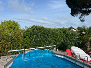 Photo de galerie - Taille de haies et d'arbustes