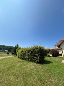 Photo de galerie - Jardinier