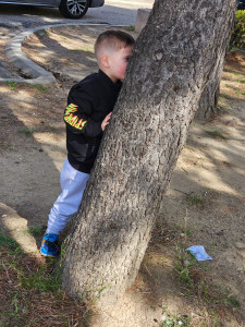 Photo de galerie - Garde d'enfant baby-sitter 