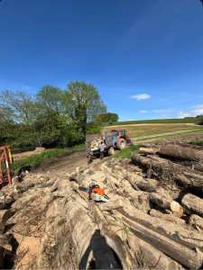 Photo de galerie - Vend bois de chauffage sec ou vert ! 