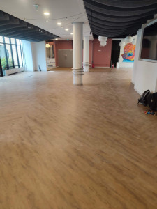 Photo de galerie - Placo plâtre peinture ? et parquet 