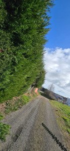 Photo de galerie - Avant intervention