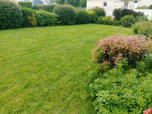 Photo de galerie - Pelouse 