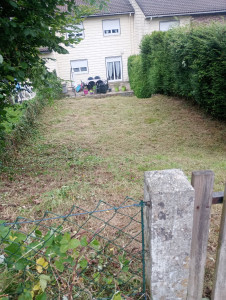Photo de galerie - Débroussaillage  après 