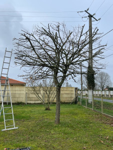 Photo de galerie - Finir