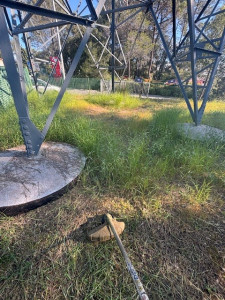 Photo de galerie - Débroussaillage