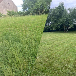 Photo de galerie - Tonte d’entretien d’un jardin avec évacuation des déchets verts 