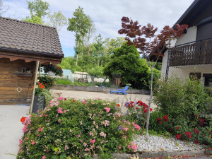 Photo de galerie - Garde chien