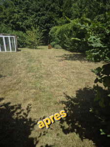 Photo de galerie - Tonte de pelouse - Débroussaillage
