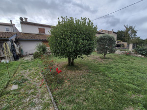 Photo de galerie - Taille de haies et d'arbustes