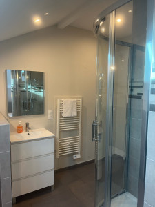 Photo de galerie - Nettoyage salle de bain. 