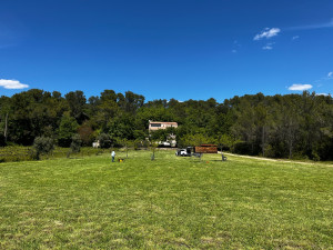 Photo de galerie - Tonte de pelouse - Débroussaillage